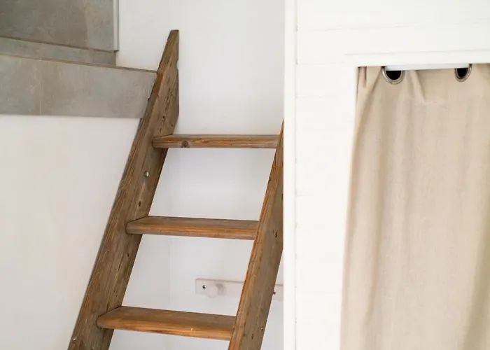 Petite Maison-studio Ba014s Daire Cagnes-sur-Mer